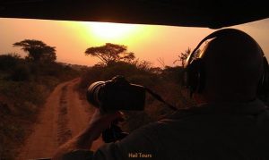 Read more about the article Best Time to Visit Uganda