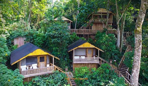 Lodges in Bwindi Impenetrable National Park Uganda