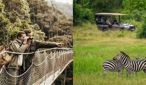 Rwanda Safari Activities