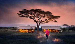 Accommodations in Serengeti 