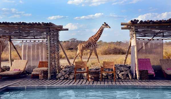 best Tanzania safari lodges - Chem Chem Lodge