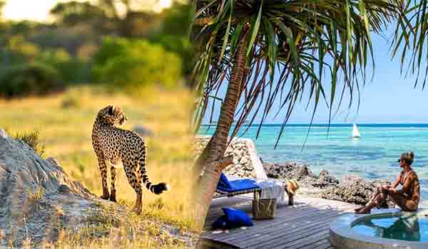 14 Days Tanzania Safari and Zanzibar Beach