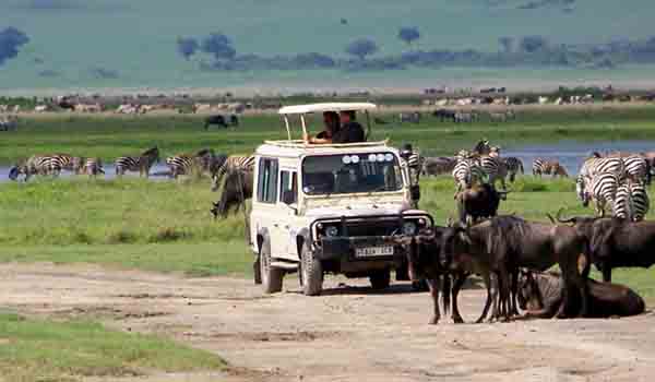 4 days Serengeti National Park safari