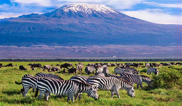 Best Safari Parks in Kenya