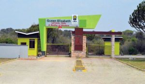 4 Days Queen Elizabeth Safari