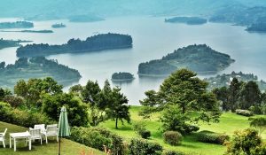 4 Days Bwindi Gorillas and Lake Bunyonyi Safari