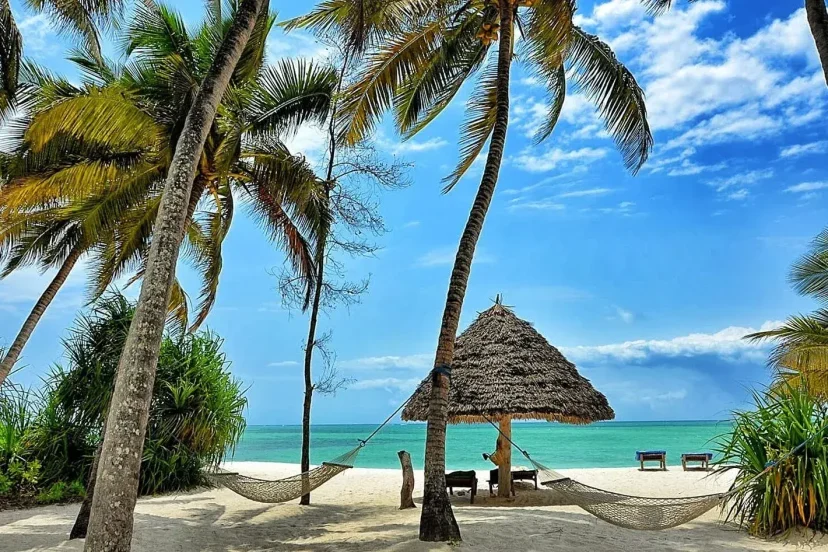 Read more about the article Zanzibar