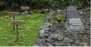 Read more about the article Gorilla Cemetery at Karisoke Research Station