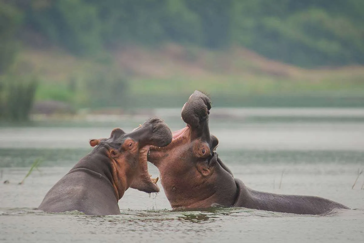 Kazinga Channel