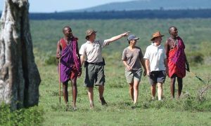 Read more about the article best national parks to visit in Kenya