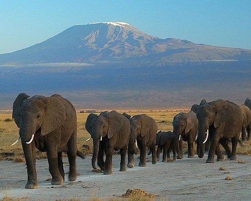 Best National Parks in Kenya