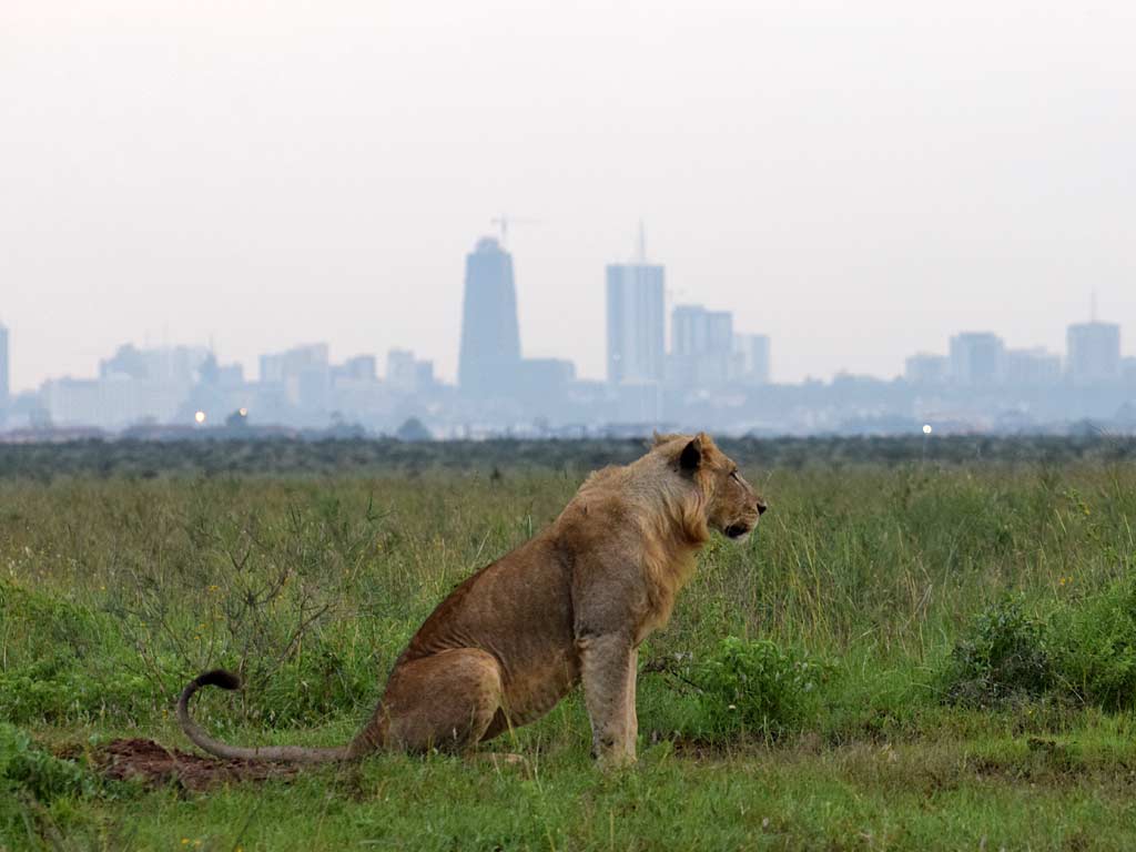 Nairobi National Park entrance fees