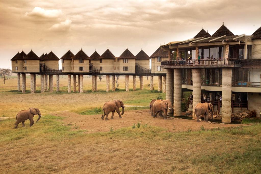 Read more about the article Tsavo National Park Accommodation 