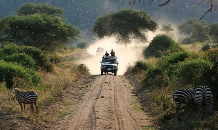 Kenya Safari All Inclusive Packages