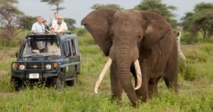 Read more about the article Visa Tips and Border Crossing Guide for East Africa Tourist Safaris