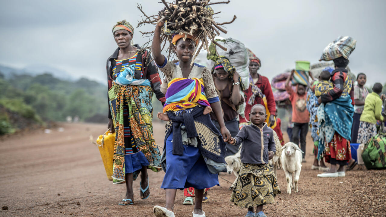 Top Guide to DRC Africa