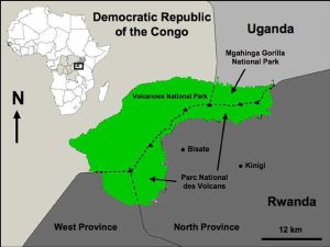 Read more about the article Virunga National Park Location