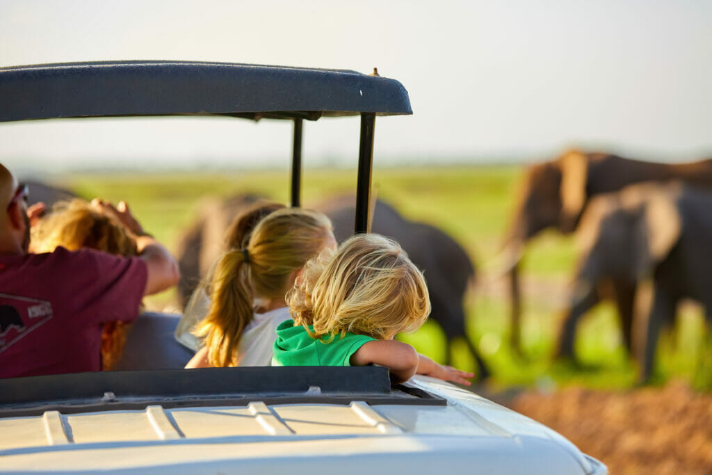 Top National Parks in Africa for Big Five Safaris