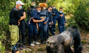 3 Day Gorilla Trekking Uganda