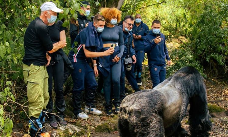 3 Day Gorilla Trekking Uganda