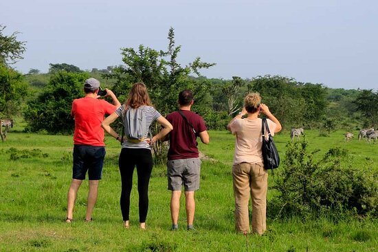 Nature Walks in Lake Mburo National Park