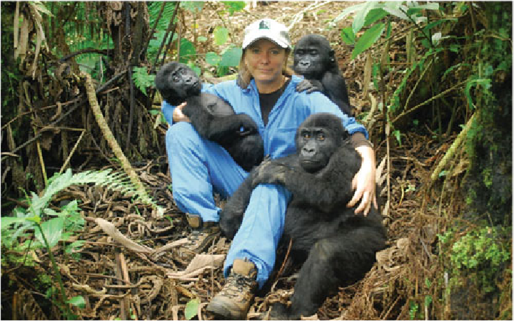 Mountain Gorilla Conservation Success Stories