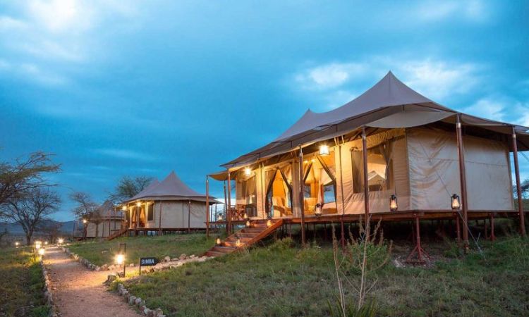 Luxury Tented Camps