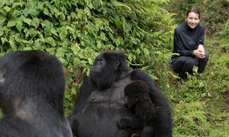 Is It Safe to Go on an African Safari Alone