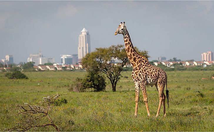 You are currently viewing Unique Places to Visit in Nairobi