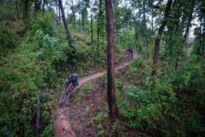 Read more about the article Cycling Trails in Bwindi