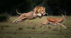 7 Days Best of Kenya Safari
