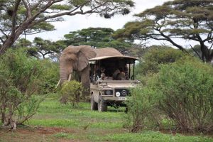 8 Days Rwanda Wildlife Safari