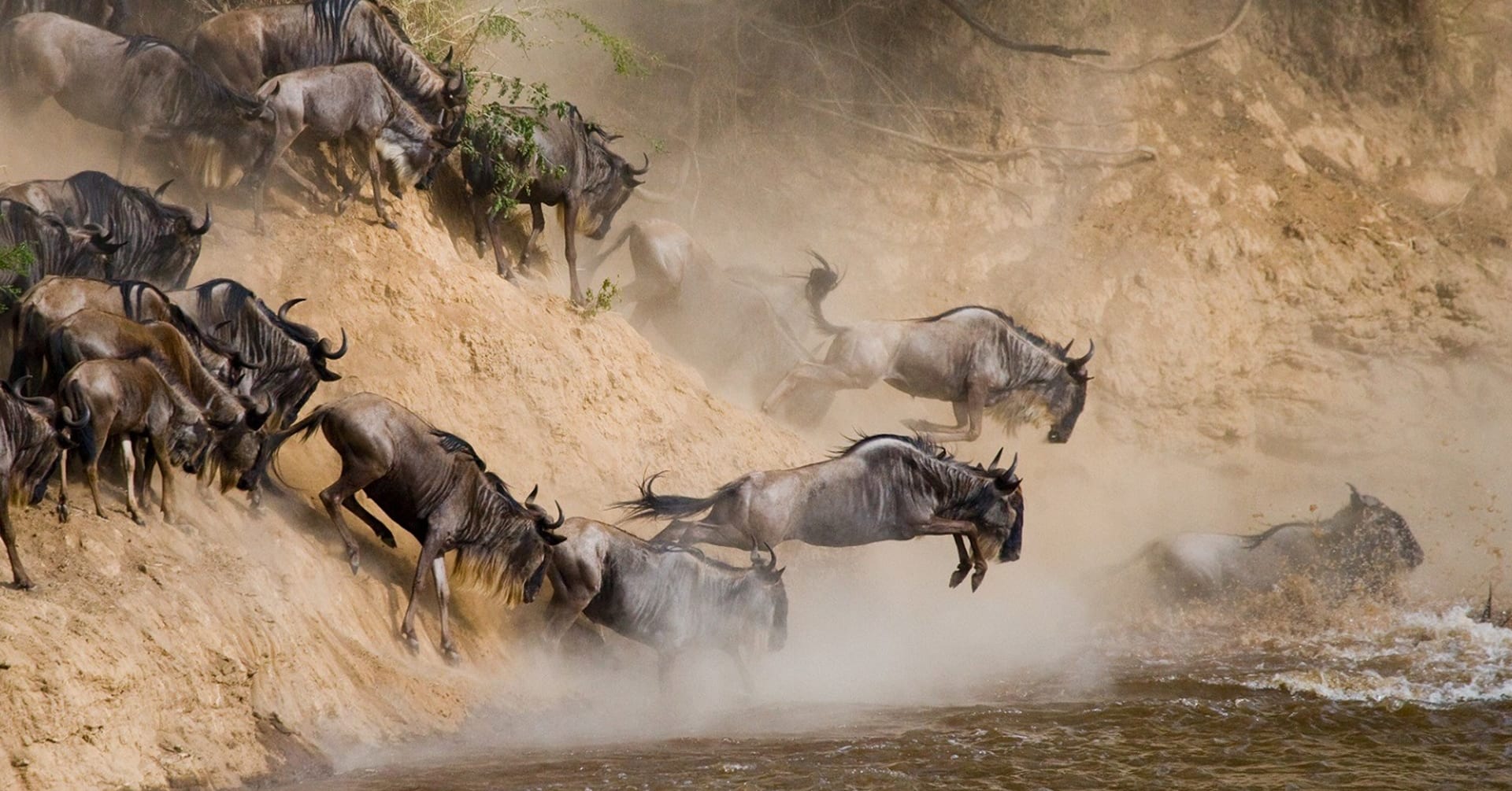 10 Days Best of Tanzania Safari