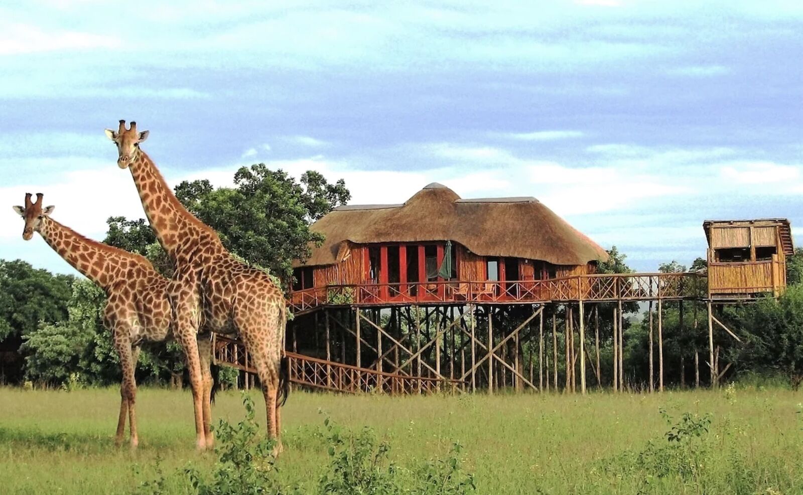 best affordable lodges in kruger national park