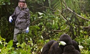 Read more about the article gorilla trekking packing list