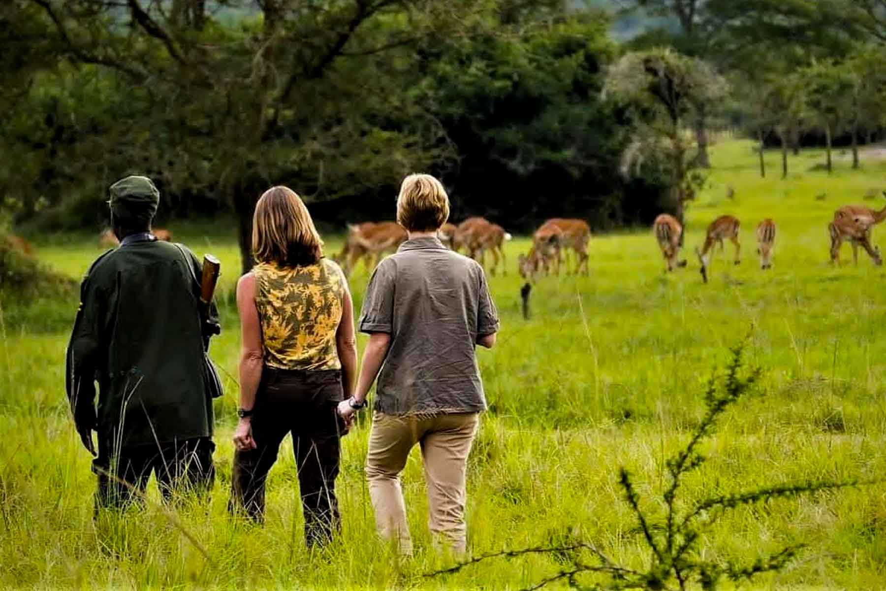 14 days Uganda primates and wildlife safari