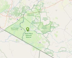Read more about the article Which part of Masai Mara is best